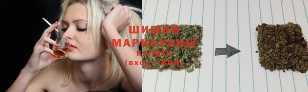 дурь Алзамай