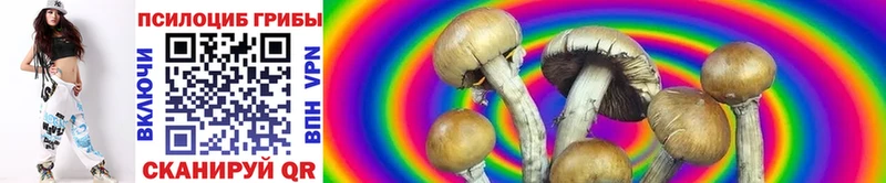 Псилоцибиновые грибы Magic Shrooms  блэк спрут онион  Уржум 